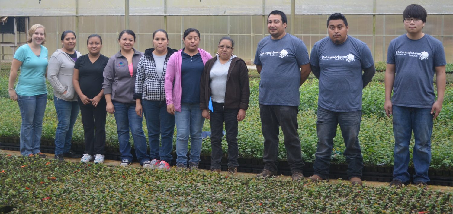 Nursery-Crew Seven women and three men standing in a line from left to right in the middle of a greenhouse with rows of plants in front of and behind them