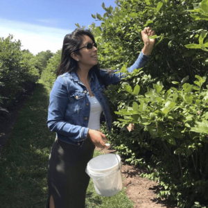 Woman picking blueberries