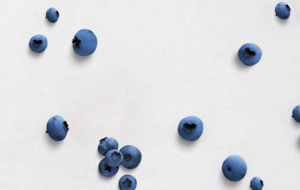 Blueberries on a white background