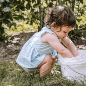 Child playing with blueberries in a bucket