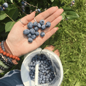 Woman holding blueberries in her hand